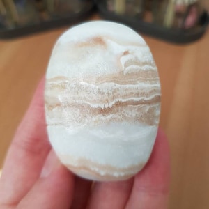 Caribbean Calcite Palm Stone