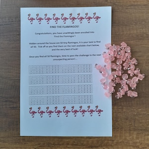 May include: A printable game sheet with the title "Find the Flamingos!" and instructions to find 50 tiny flamingos hidden around the house. The sheet includes a grid with numbers 1-50 and a row of pink flamingo illustrations at the top and bottom.