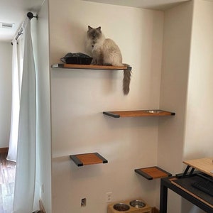 Custom Handmade Floating Book Shelf, End Table, Cat jungle, cat shelf, cat cruise, cat playground, cat perch, cat feeder