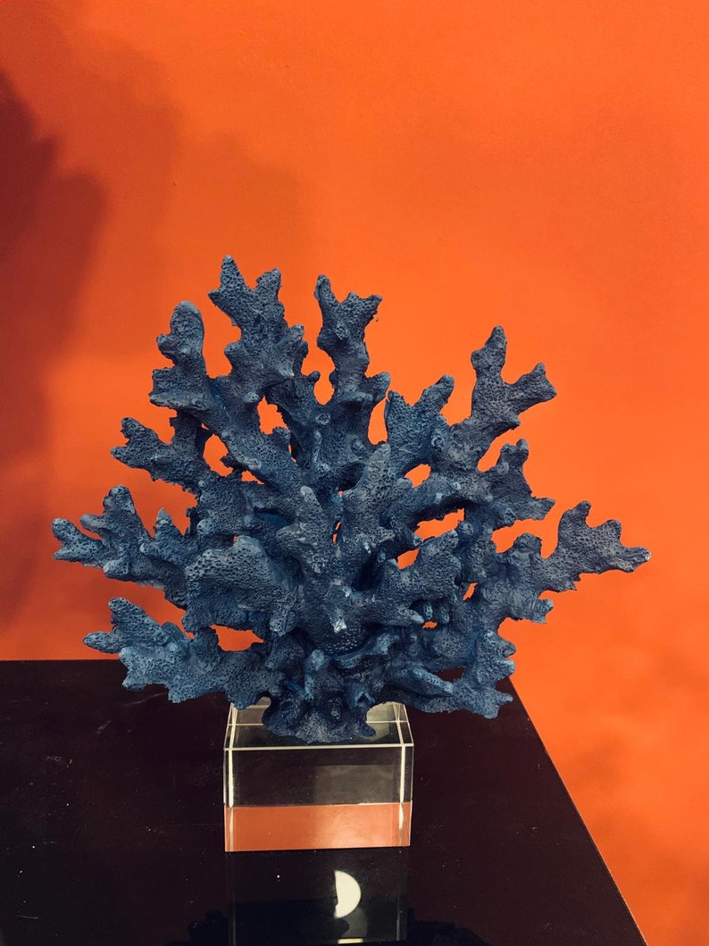 Decorative Red Coral Reef Coral Objectcoral Decor Coral Etsy