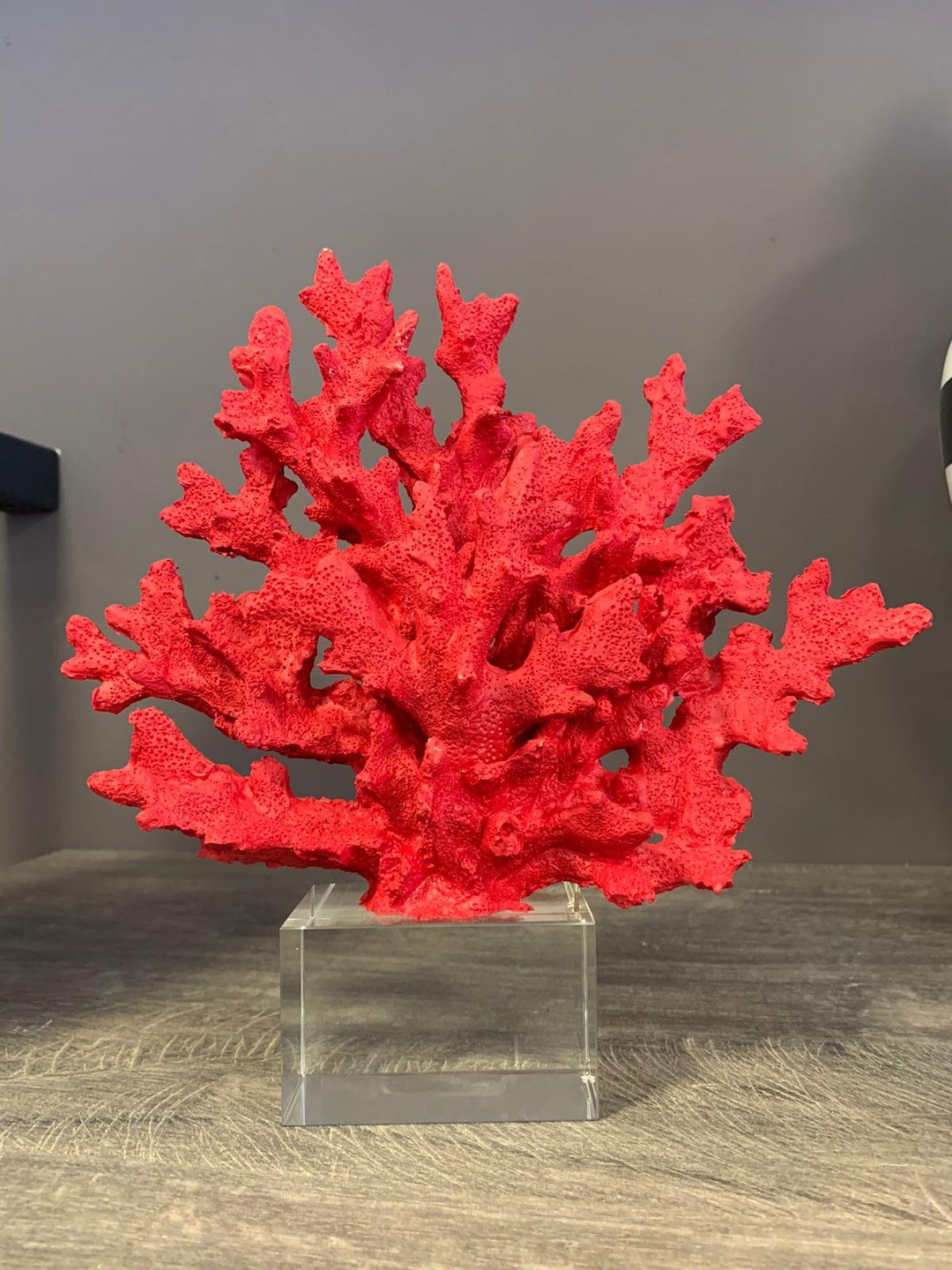 Decorative Red Coral Reef, Coral Object,coral Decor, Coral Stone