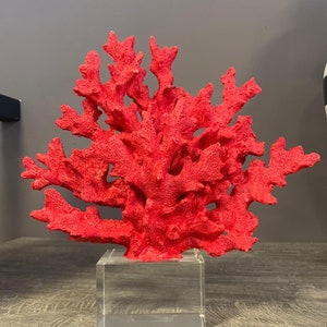 Decorative Red Coral Reef, Coral Object,Coral Decor, Coral Stone Sculpture, Luxury Home Decor,White Coral,Natural Coral ,Home decor,