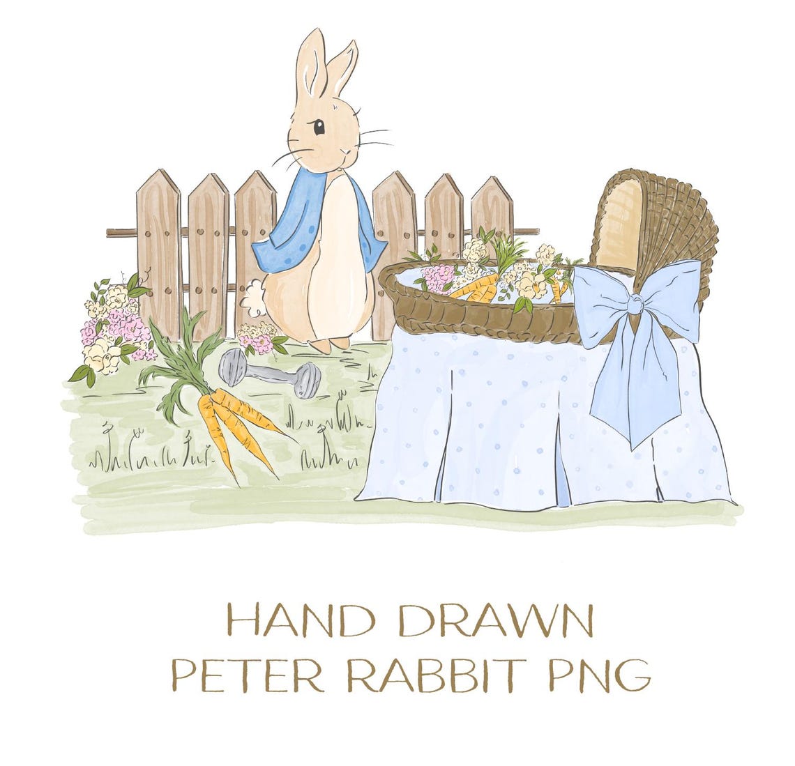Hand Drawn Peter Rabbit PNG - Etsy