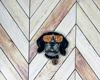 May include: Black and white dog with orange sunglasses that say "Tennessee" on them. The dog is wearing a black collar with a silver buckle.