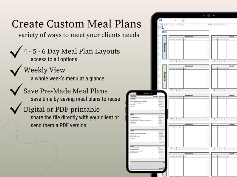 Digital Editable Macro & Mirco Meal Plan Template for Coaches (for ...