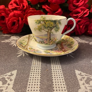 Vintage Shelley Woodlands Teacup and Saucer Set