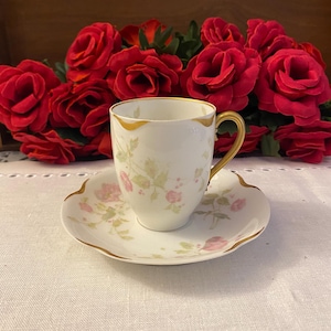 Theodore Haviland Limoges Oberreich and Arnold, Laporte, Indiana Pastel Teacup and Saucer