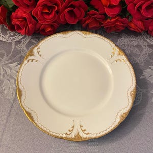 White and Gold Haviland and Co. Dinner Plate, Schleiger 133
