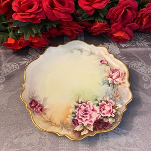 Carl Tielsch C. T. Altwasser Hand Painted Painted Rose Plate