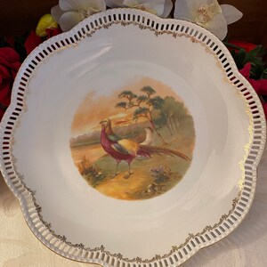 Schumann Arzberg Game Bird Plate