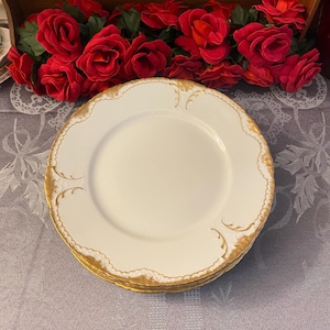 Four Piece Set of Haviland and Co. Dinner Plates, Schleiger 133