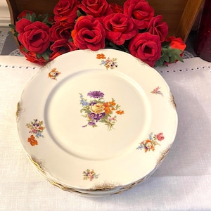 Warwick USA 10” Dinner Plates, Set of 6