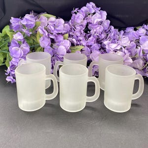 Tiara Indiana Glass Set of 6 Small Frosted Mugs
