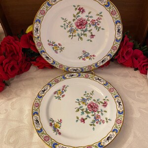 Aynsley Garden Blackbird Salad Plates A4284