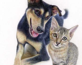 Personalised hand-drawn realistic colour pencil pet/dog portrait from photo, Custom pet portrait / Colored pencils hand drawn pet portrait