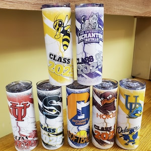 Custom University/College-School 20oz skinny tumbler