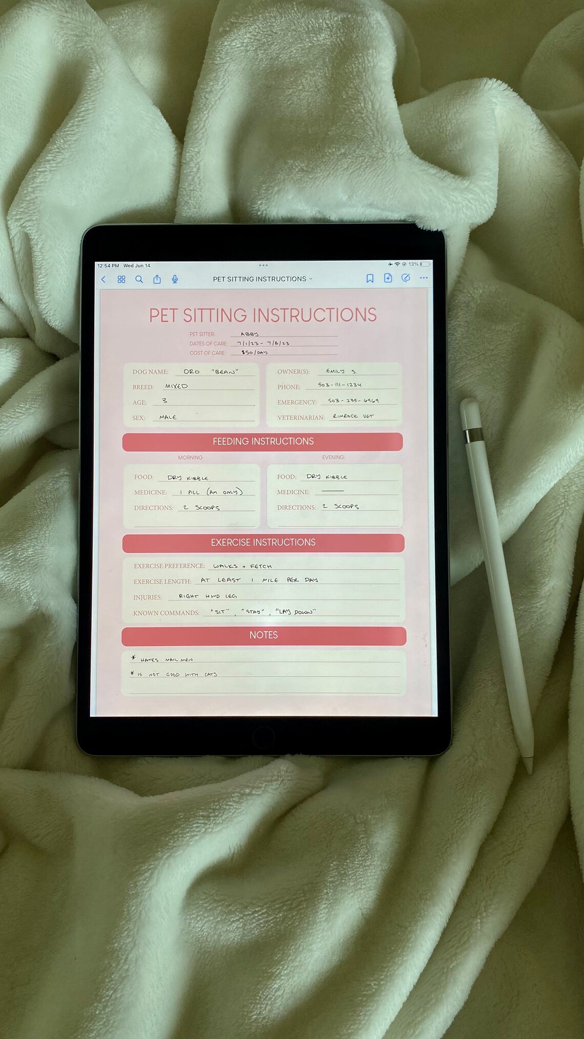 Pet Sitting Instructions (pink) | Dog Sitting Guide | Pet Sitter Form ...