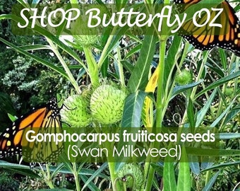 15 Swan Milkweed Seeds