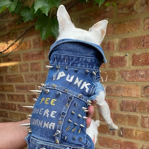 Cat jean vest 2025