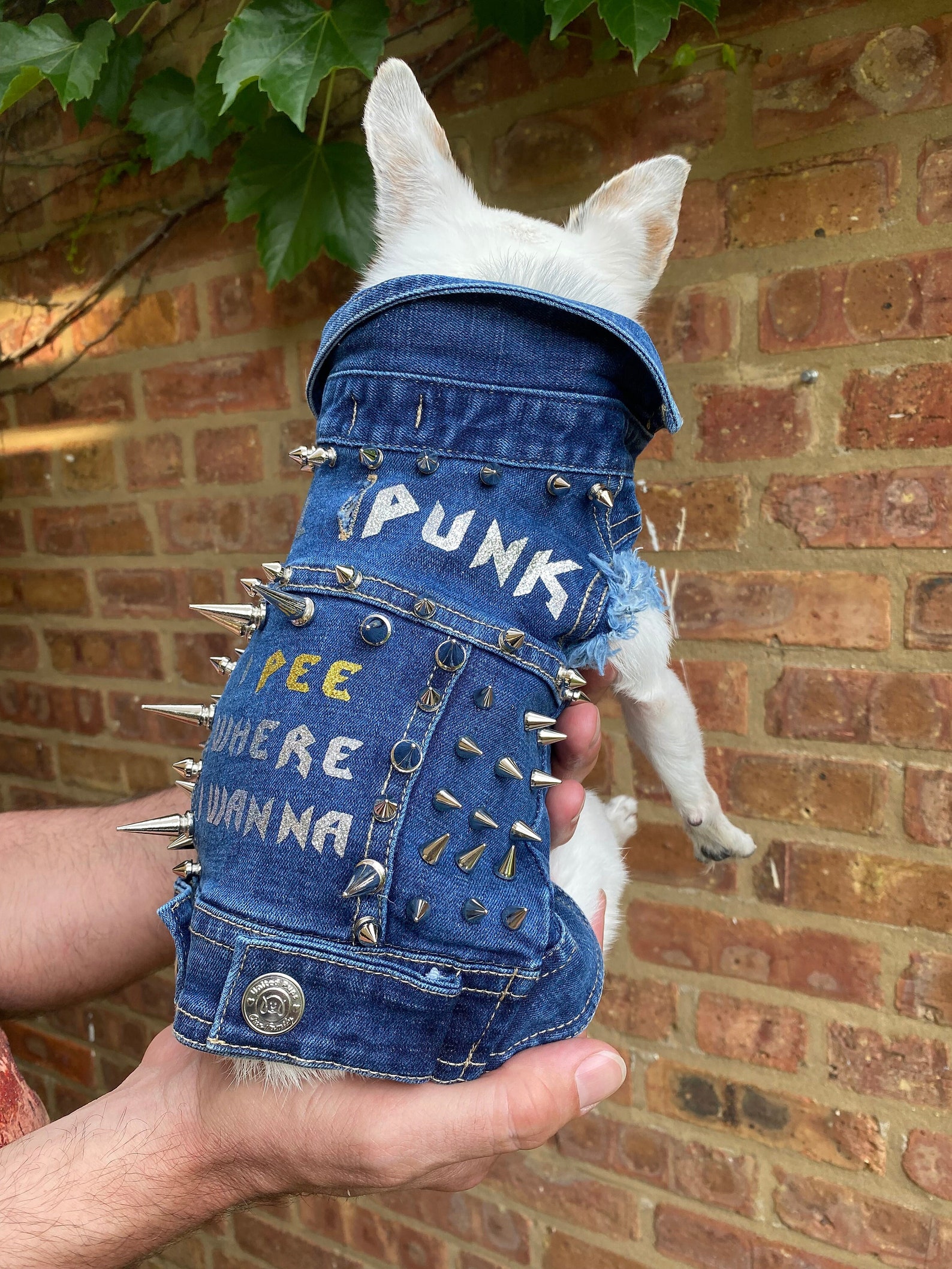 Dog Jean Jacket, Dog Jean Vest, Pet Denim Jacket, Pet Denim Vest