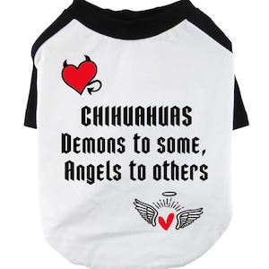 Camiseta para chihuahua, camiseta raglán para mascotas, ropa para perros