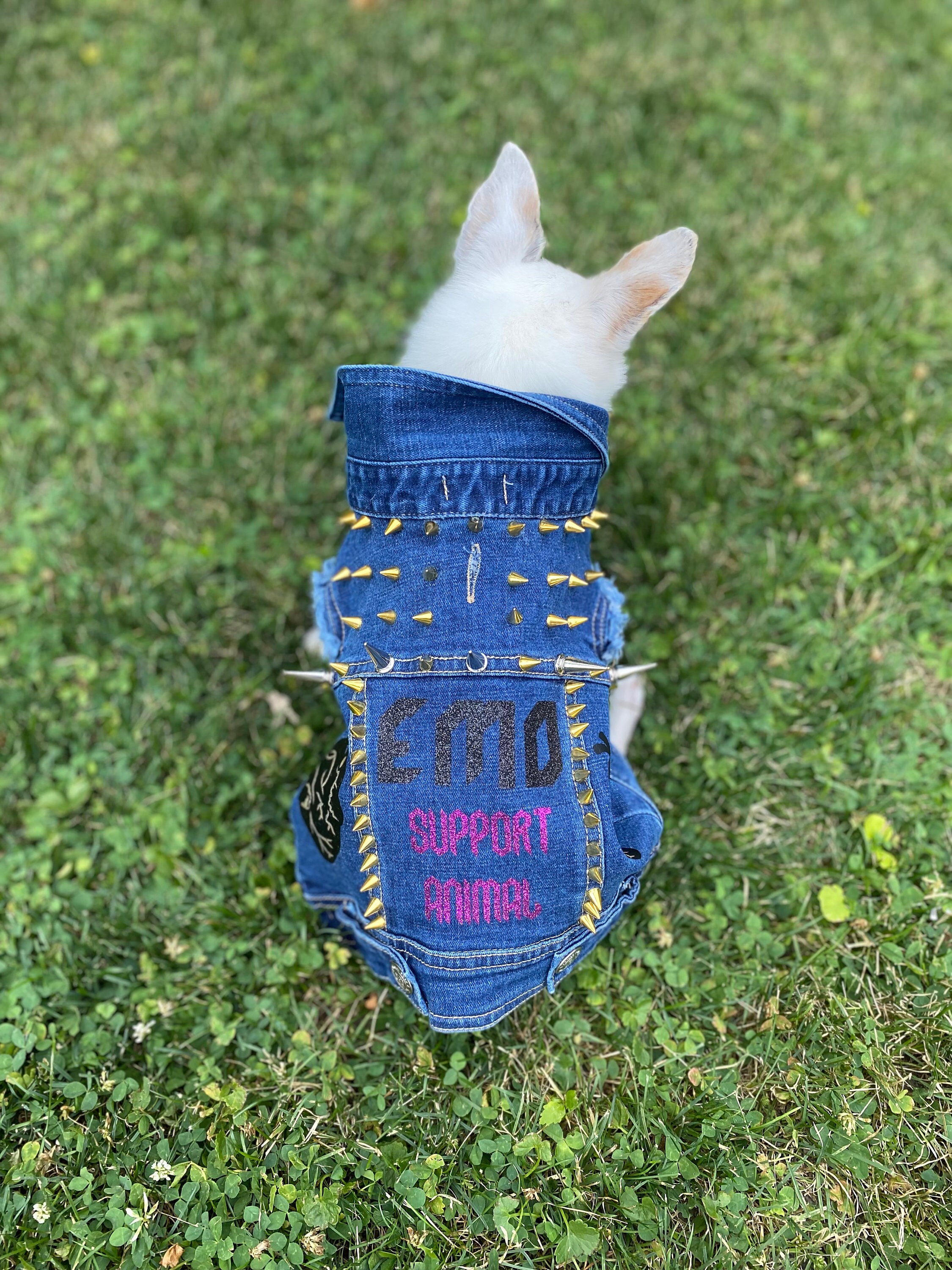 Dog Jean Jacket Dog Jean Vest Pet Denim Jacket Pet Denim Etsy