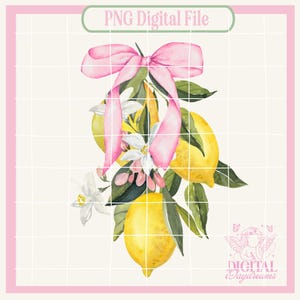 コケットレモンpng、チェリーpng、チェリーリボンpng、フルーツpng、ソフトガールエラpng、ピンクのリボン、美的Png、ガーリーPng、ソーシャルクラブpng、コケット
