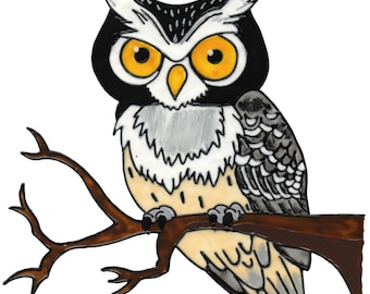 Window Color Window Sticker Owl 271