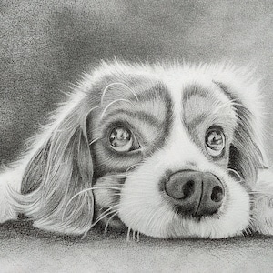 Custom Pet Portrait,Pet Memorial,Charcoal Drawing, Pet Portrait, Pencil Drawing, Dog Portrait, Personalized pet gift, Pet Remembrance