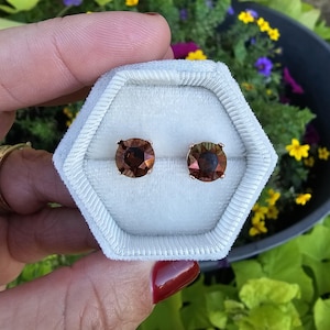 Può includere: Un paio di orecchini a lobo con gemme rotonde marroni incastonate in oro rosa. Sono presentati in un portagioie esagonale azzurro chiaro. Lo sfondo presenta vegetazione e fiori sfocati.