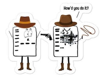 Western Blot Sticker | Science, Biochemistry, Molecular Biology, Immunology, Research / Science Gift