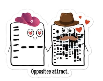 Opposites Attract / Western Blot Sticker | Science, Biochemistry, Molecular Biology, Immunology, Research / Funny Science Gift