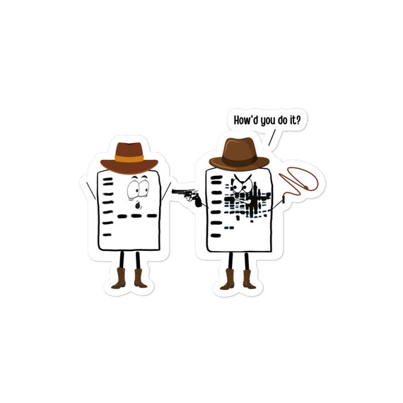 Western Blot Sticker / Ciencia Bioquímica Biología - Etsy México