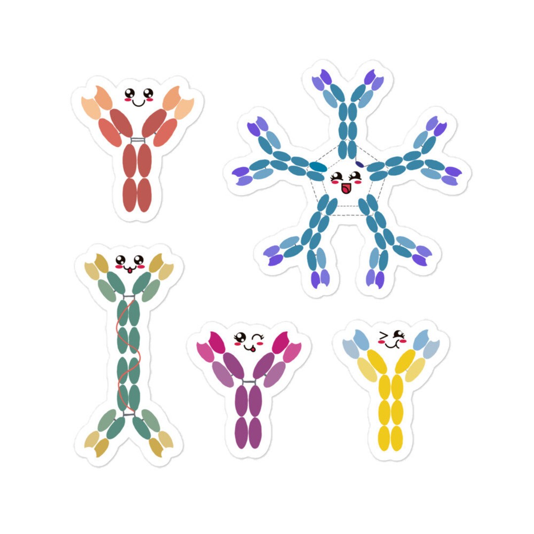 Immmunology Sticker Antibodies Sticker Set / Immunology Stickers - Etsy
