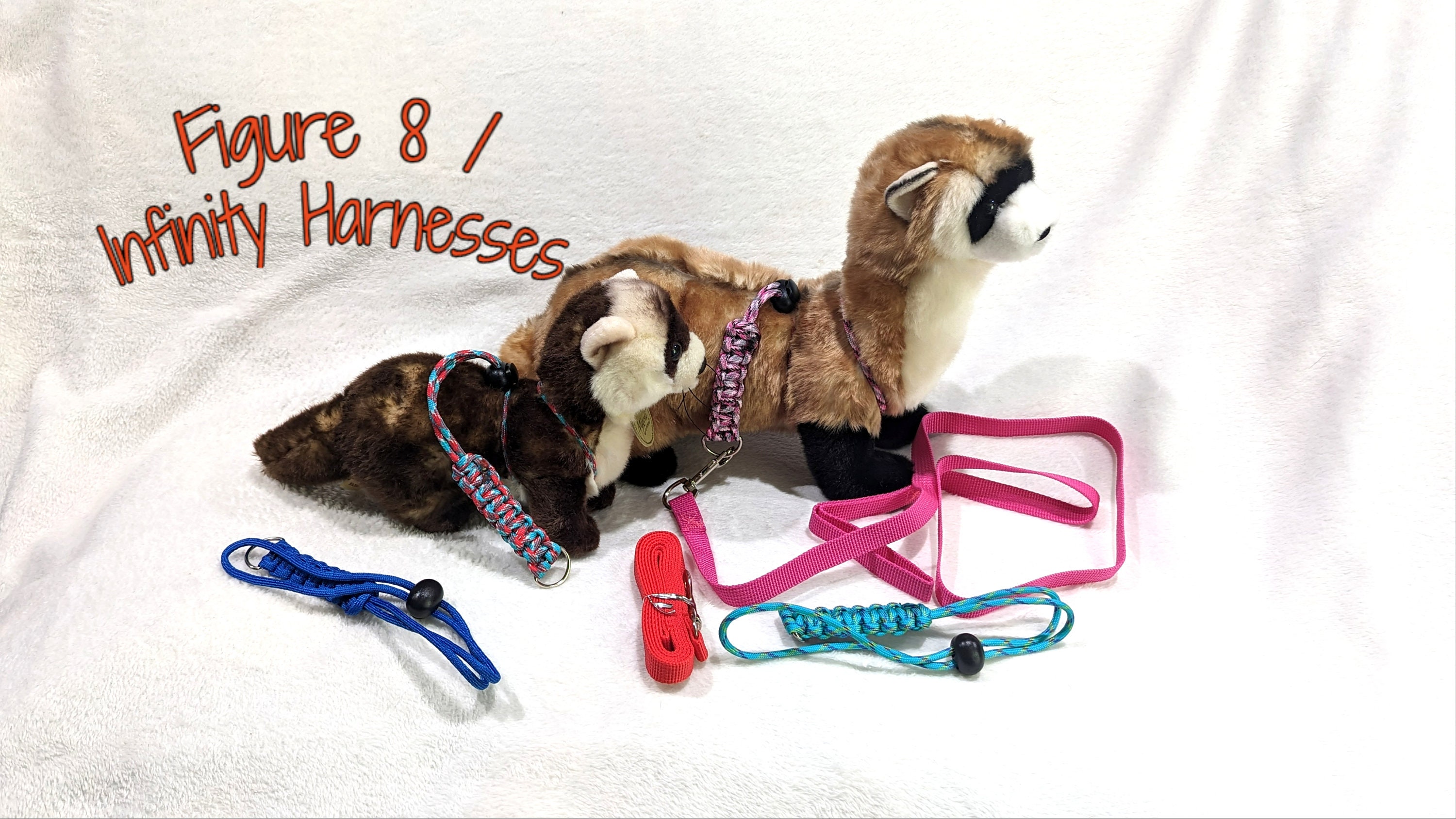 Infinity lead dog collar sales