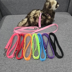 Peut inclure: Un jouet de furet en peluche portant un harnais et une laisse roses, avec une sélection de laisses colorées en rose, rouge, orange, vert, bleu, violet et noir. Les laisses ont des fermoirs métalliques.