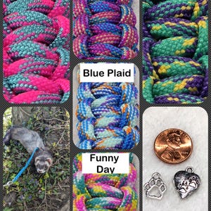 May include: A collage featuring six colorful braided pet leashes labeled "Cotton Candy", "Sherbert", "Komodo", "Blue Plaid", and "Funny Day". Also includes a ferret on a leash, a penny, and two paw print charms.