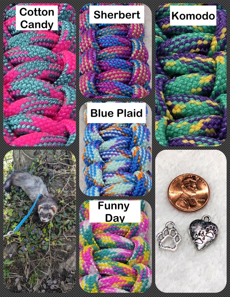 May include: A collage featuring six colorful braided pet leashes labeled "Cotton Candy", "Sherbert", "Komodo", "Blue Plaid", and "Funny Day". Also includes a ferret on a leash, a penny, and two paw print charms.