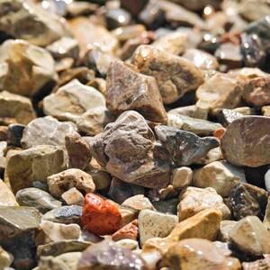 May include: A close-up of a pile of smooth, wet rocks in various shades of brown, gray, and white. A single red rock is visible in the center of the image.