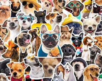 Random Cute Dog Stickers, Waterproof Decals (10 Pack)