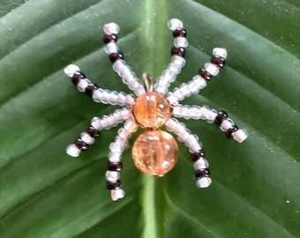 Araña perla - amuleto de la suerte
