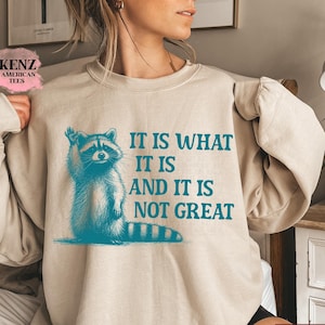 It Is What It Is And It Is Not Great Sweatshirt, Mental Health Sweatshirt, Funny Sweatshirt Women, Meme Sweatshirt, Raccoon Shirt, Gag Tee