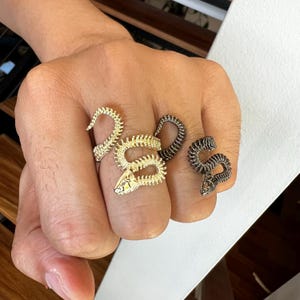 May include: Two snake-shaped rings, one gold and one silver, worn on a person's fingers.