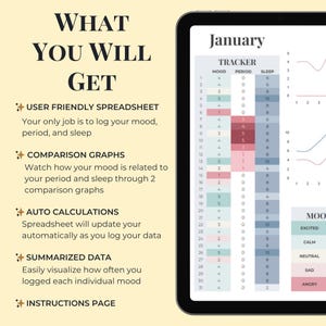 Google Sheets Period Tracker Template, Daily Mood Tracker, Sleep Tracker, Mood Journal Spreadsheet Template