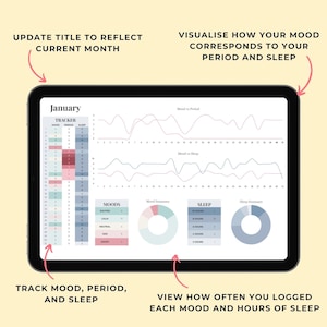 Google Sheets Period Tracker Template, Daily Mood Tracker, Sleep Tracker, Mood Journal Spreadsheet Template