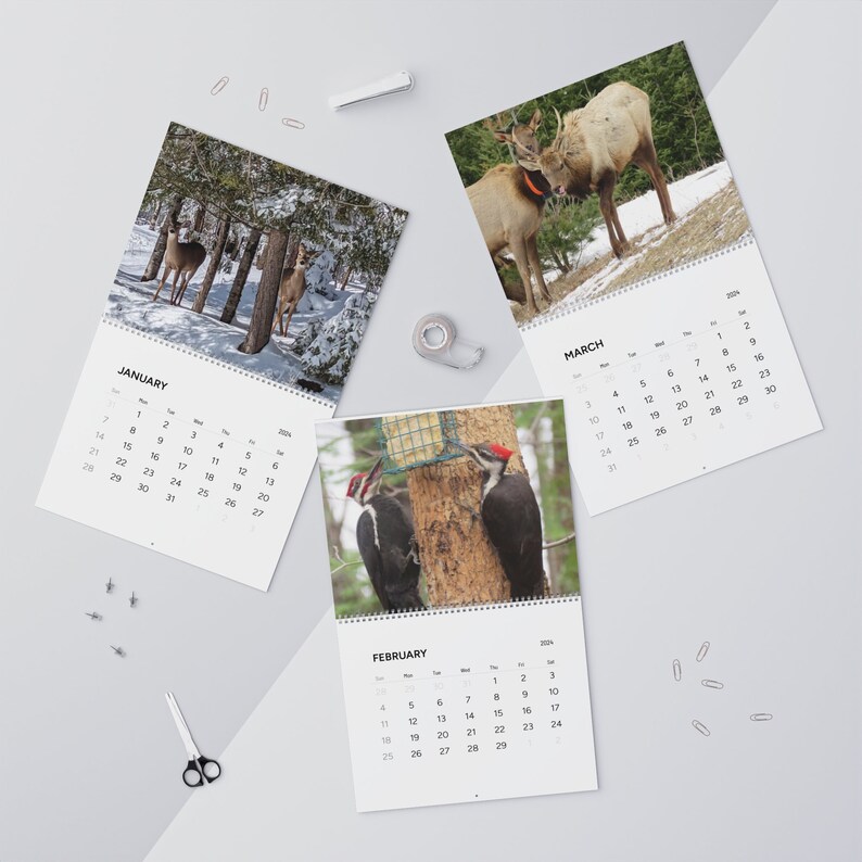 2024 Wall Calendar, 2024 Wildlife Calendar, 2024 Calendar With
