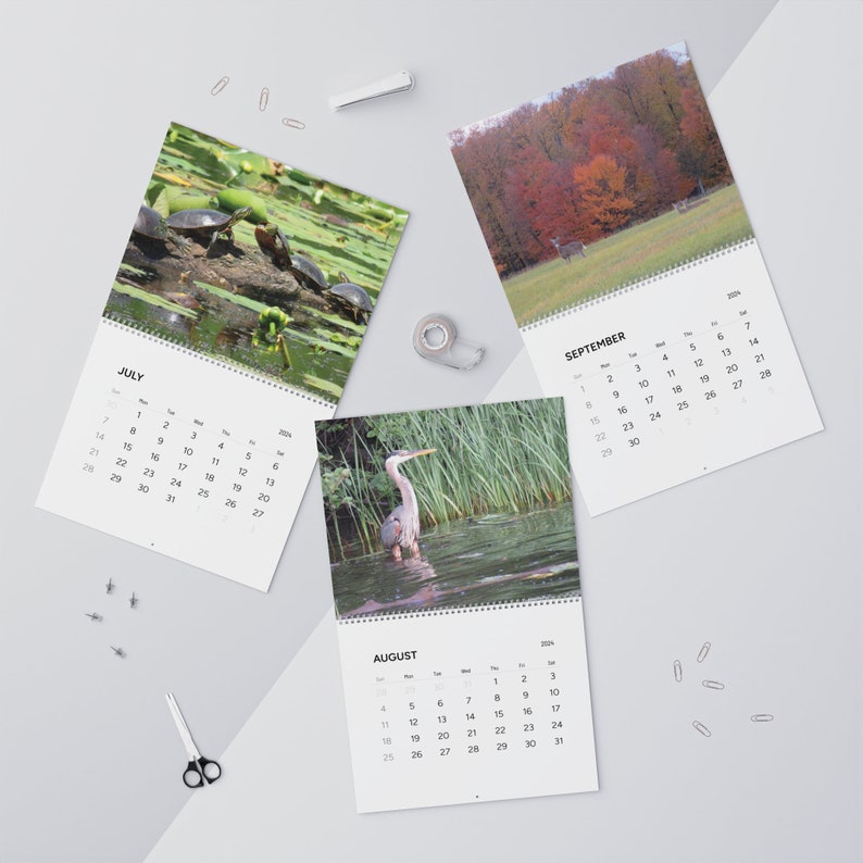 2024 Wall Calendar, 2024 Wildlife Calendar, 2024 Calendar With