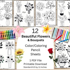 12 pagine da colorare di fiori. Disegni da colorare per adulti, bellissimi bouquet di fiori, disegni da colorare stampabili, download digitale, pastelli o matite.