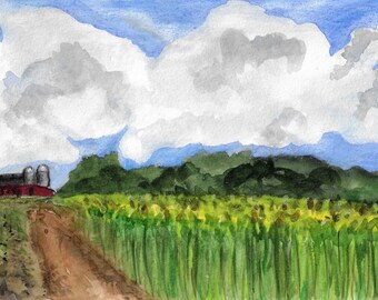 Sunflower Farm
