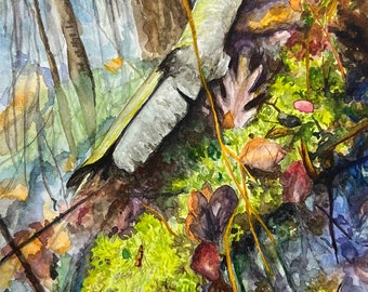 Mossy Swamp